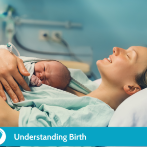 Understanding Birth eClass